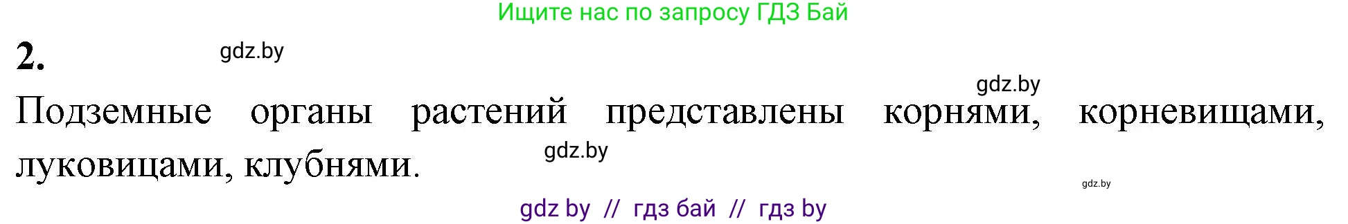 Биология, 10 класс Тетрадь для лабораторных и практических работ, автор: Хруцкая Тамара Викторовна, издательство Аверсэв, Минск, 2020, зелёного цвета, страница 67, номер 2, Решение
