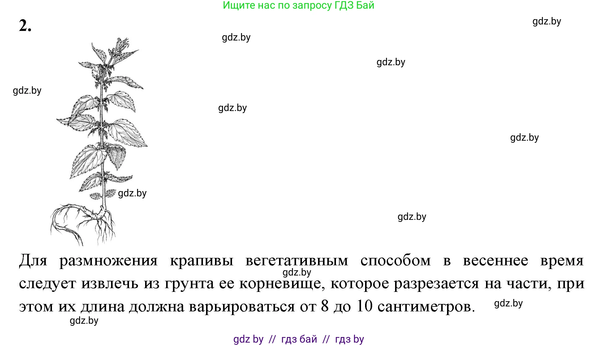 Биология, 10 класс Тетрадь для лабораторных и практических работ, автор: Хруцкая Тамара Викторовна, издательство Аверсэв, Минск, 2020, зелёного цвета, страница 63, номер 2, Решение