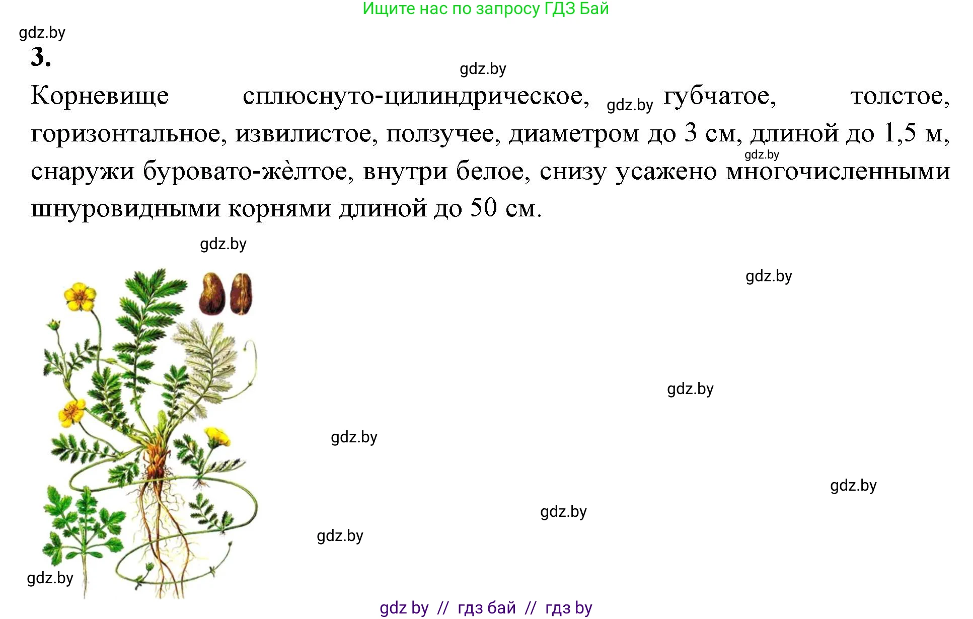 Биология, 10 класс Тетрадь для лабораторных и практических работ, автор: Хруцкая Тамара Викторовна, издательство Аверсэв, Минск, 2020, зелёного цвета, страница 63, номер 3, Решение