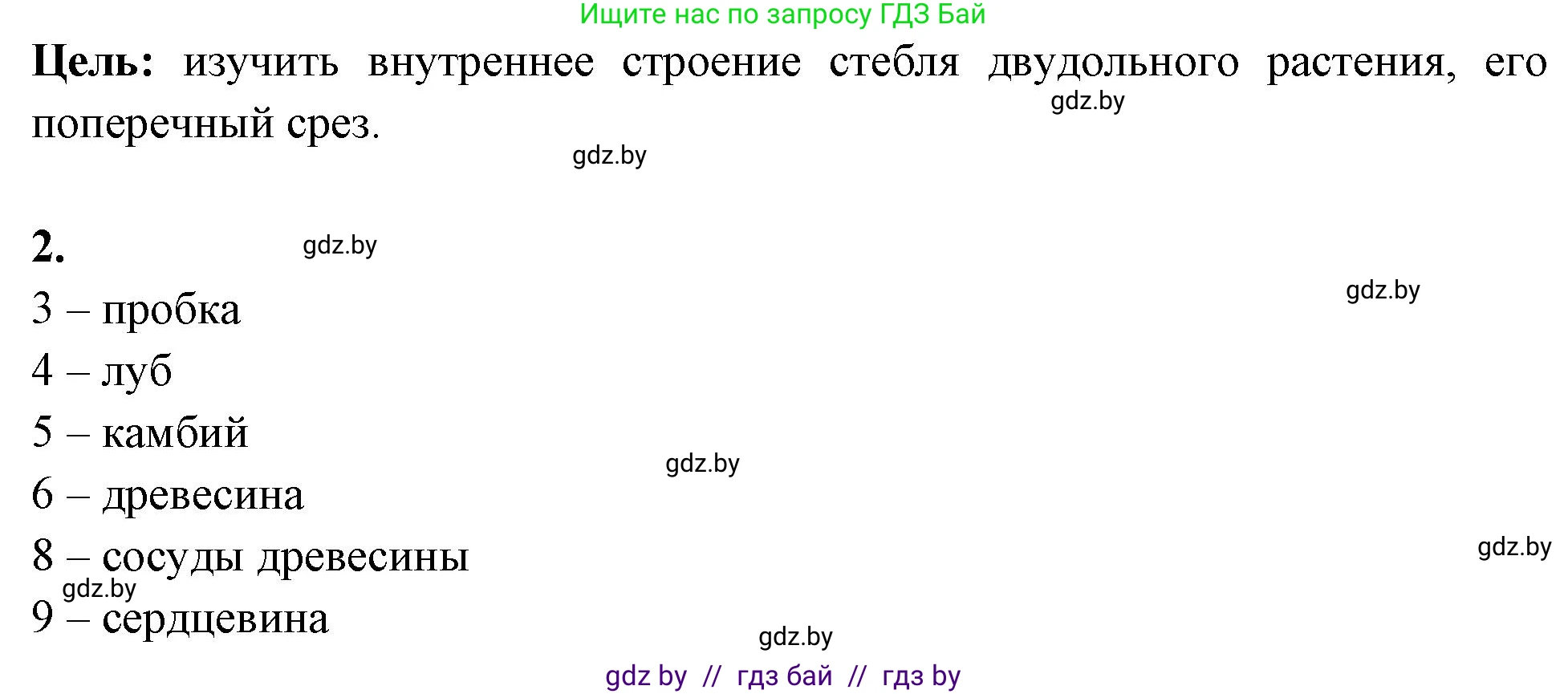 Биология, 10 класс Тетрадь для лабораторных и практических работ, автор: Хруцкая Тамара Викторовна, издательство Аверсэв, Минск, 2020, зелёного цвета, страница 12, номер 2, Решение