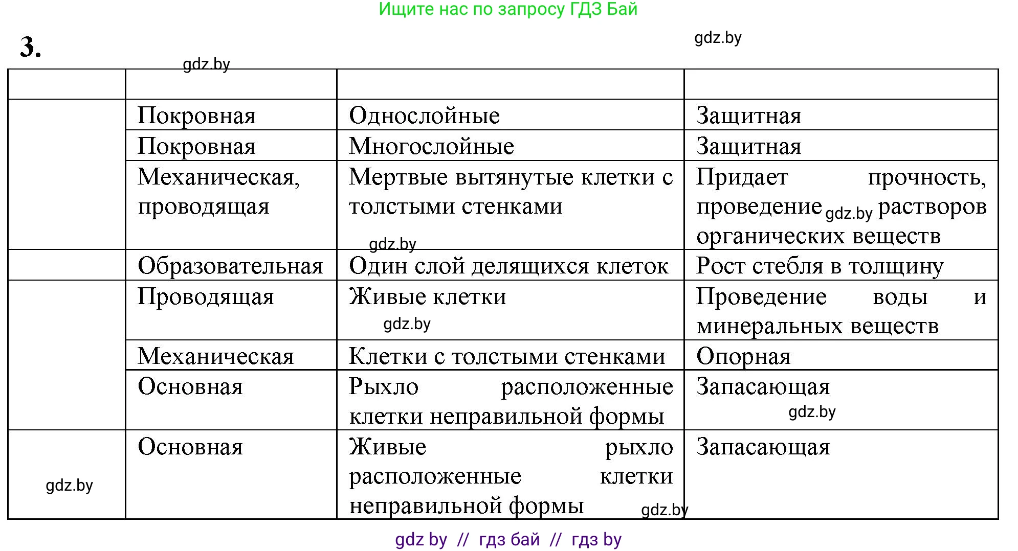 Биология, 10 класс Тетрадь для лабораторных и практических работ, автор: Хруцкая Тамара Викторовна, издательство Аверсэв, Минск, 2020, зелёного цвета, страница 13, номер 3, Решение