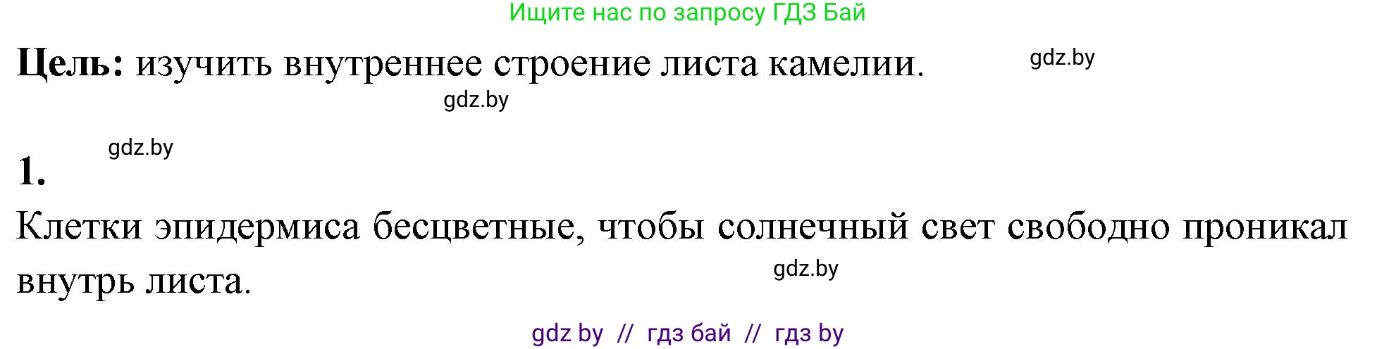 Биология, 10 класс Тетрадь для лабораторных и практических работ, автор: Хруцкая Тамара Викторовна, издательство Аверсэв, Минск, 2020, зелёного цвета, страница 15, номер 1, Решение