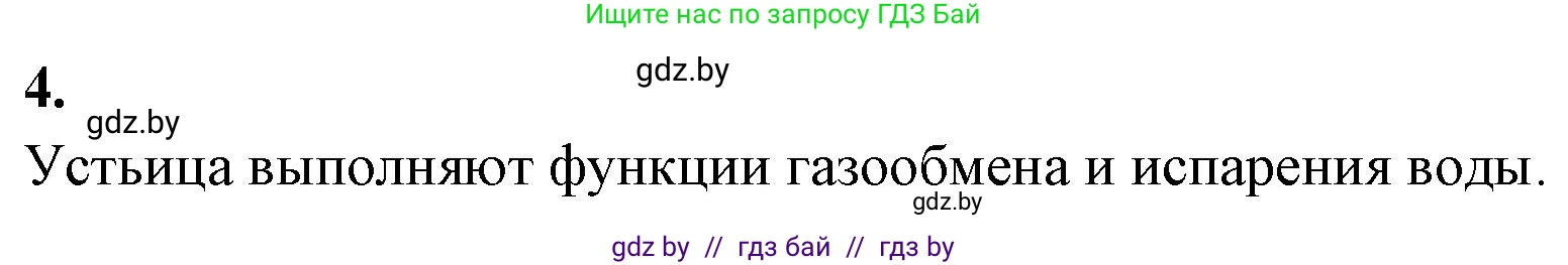 Биология, 10 класс Тетрадь для лабораторных и практических работ, автор: Хруцкая Тамара Викторовна, издательство Аверсэв, Минск, 2020, зелёного цвета, страница 15, номер 4, Решение