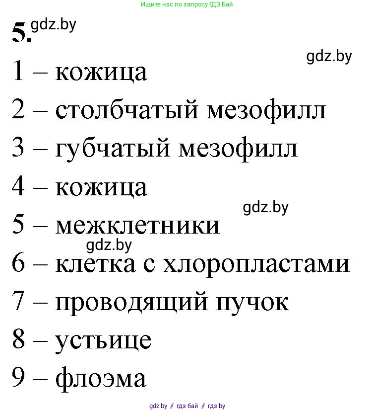 Биология, 10 класс Тетрадь для лабораторных и практических работ, автор: Хруцкая Тамара Викторовна, издательство Аверсэв, Минск, 2020, зелёного цвета, страница 16, номер 5, Решение
