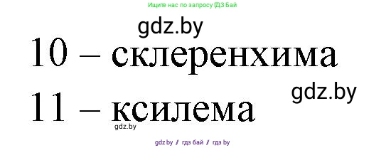 Биология, 10 класс Тетрадь для лабораторных и практических работ, автор: Хруцкая Тамара Викторовна, издательство Аверсэв, Минск, 2020, зелёного цвета, страница 16, номер 5, Решение (продолжение 2)