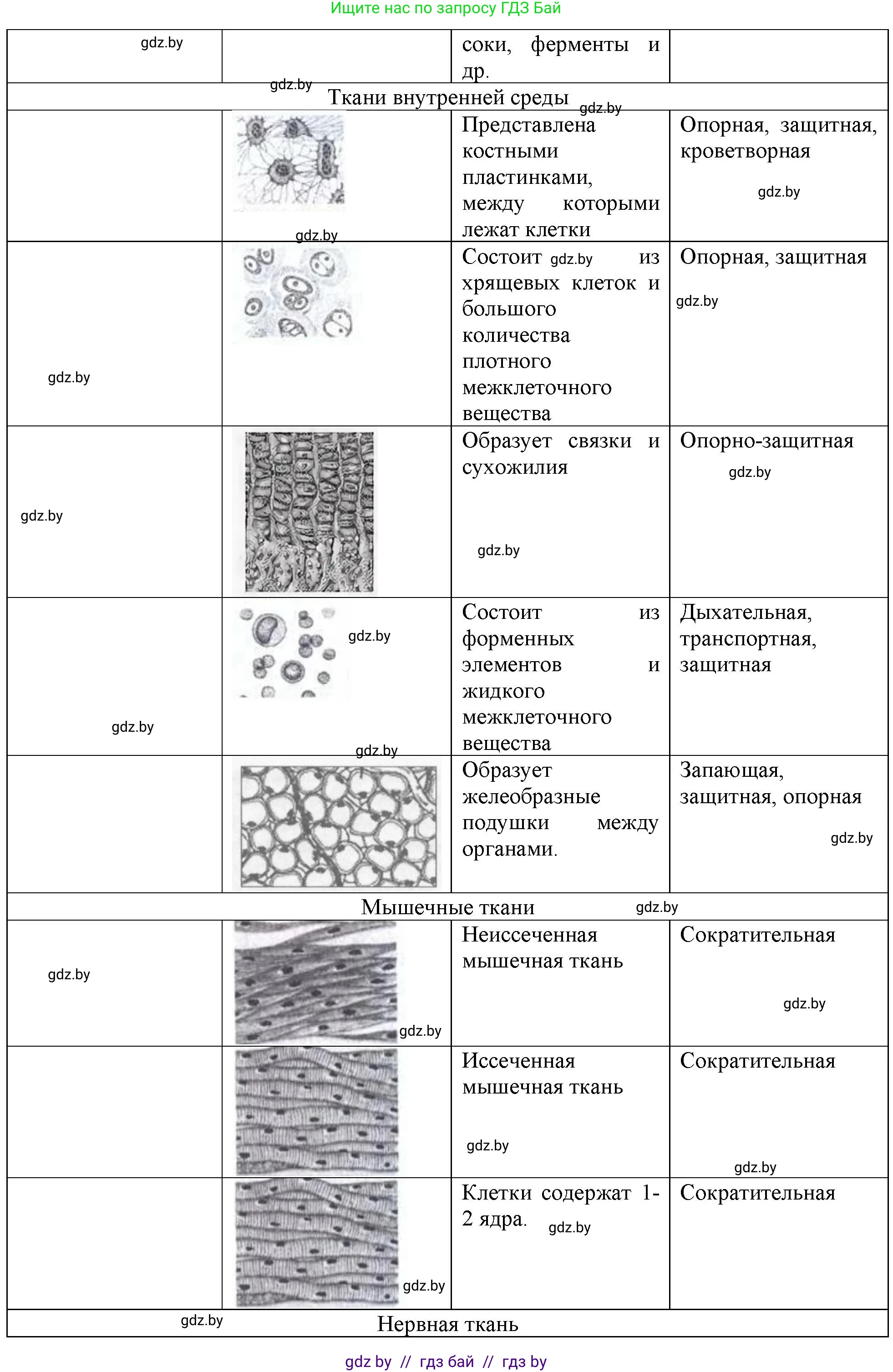 Биология, 10 класс Тетрадь для лабораторных и практических работ, автор: Хруцкая Тамара Викторовна, издательство Аверсэв, Минск, 2020, зелёного цвета, страница 18, номер 2, Решение (продолжение 2)