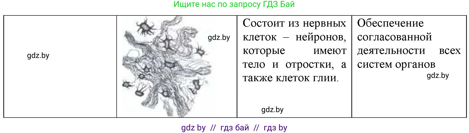 Биология, 10 класс Тетрадь для лабораторных и практических работ, автор: Хруцкая Тамара Викторовна, издательство Аверсэв, Минск, 2020, зелёного цвета, страница 18, номер 2, Решение (продолжение 3)