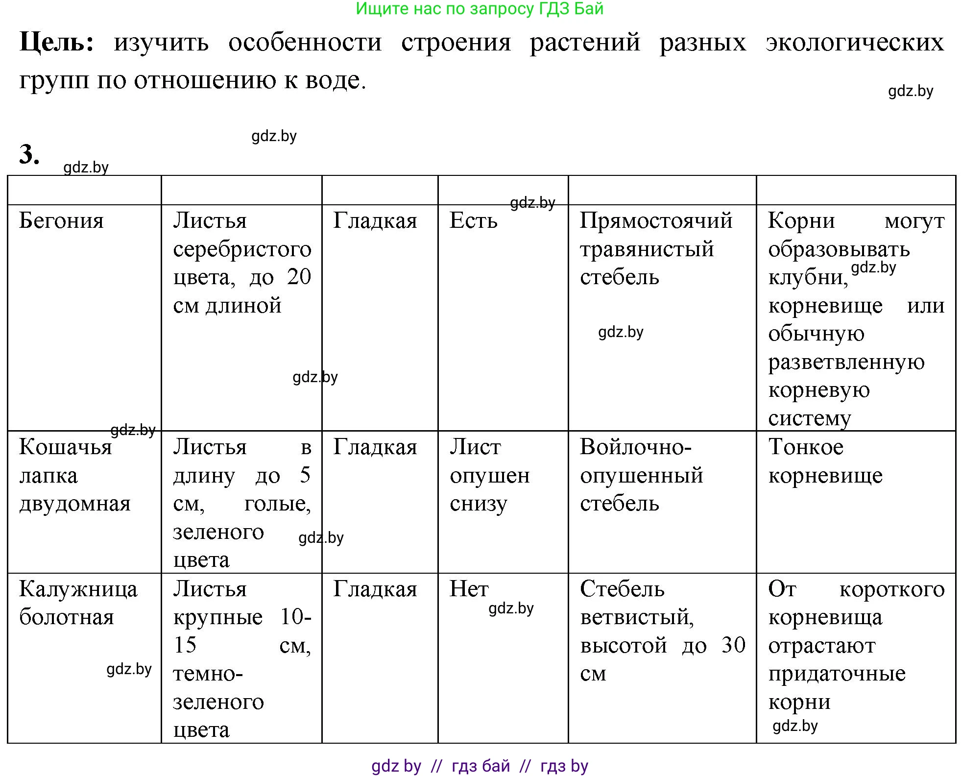 Биология, 10 класс Тетрадь для лабораторных и практических работ, автор: Хруцкая Тамара Викторовна, издательство Аверсэв, Минск, 2020, зелёного цвета, страница 21, номер 3, Решение