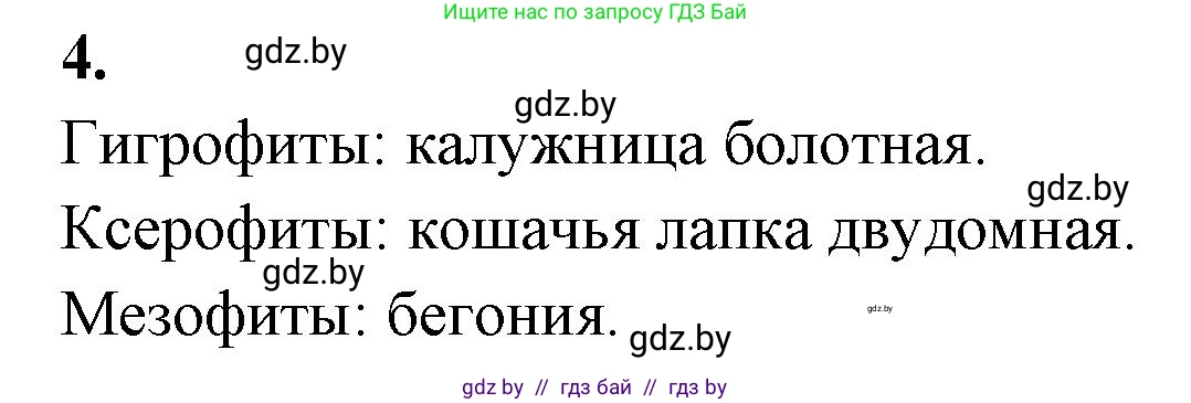 Биология, 10 класс Тетрадь для лабораторных и практических работ, автор: Хруцкая Тамара Викторовна, издательство Аверсэв, Минск, 2020, зелёного цвета, страница 23, номер 4, Решение