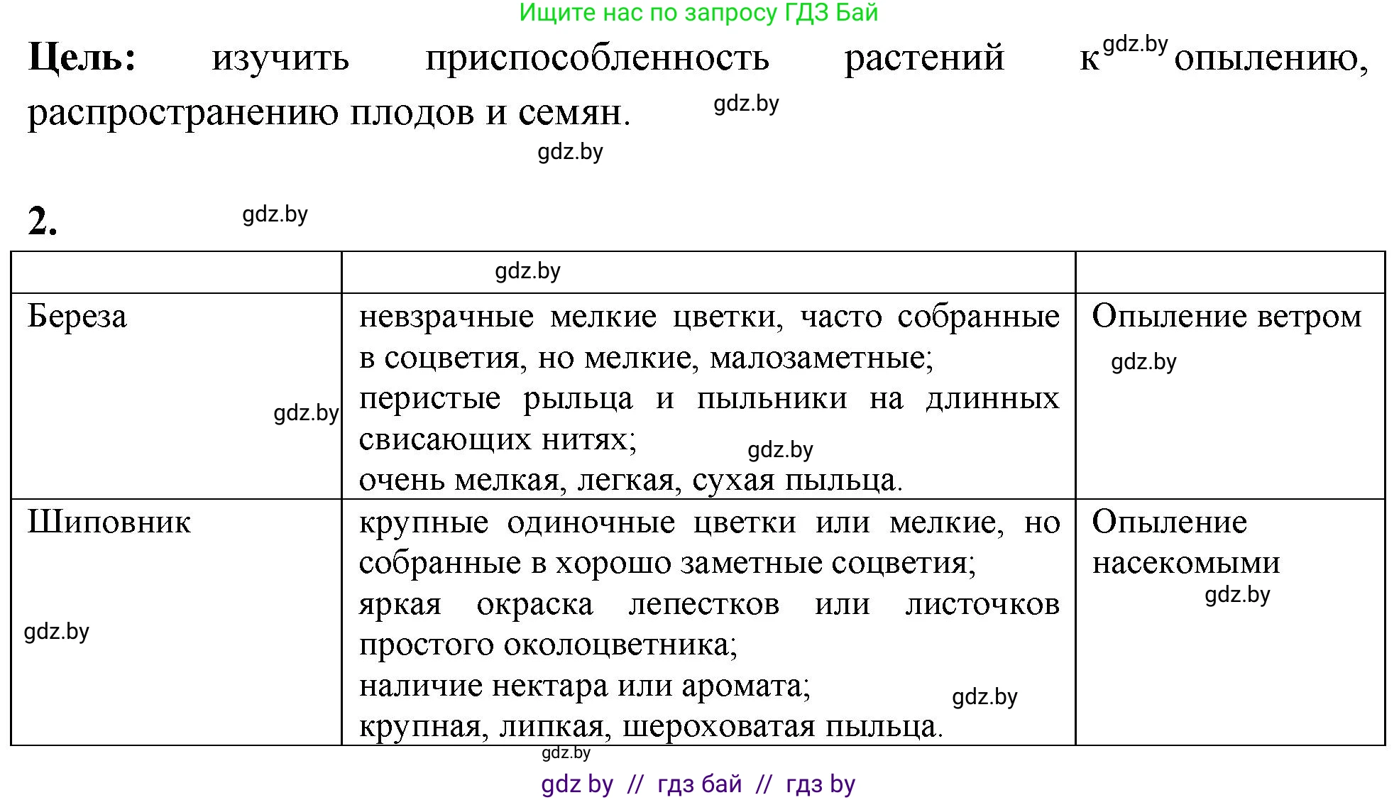Биология, 10 класс Тетрадь для лабораторных и практических работ, автор: Хруцкая Тамара Викторовна, издательство Аверсэв, Минск, 2020, зелёного цвета, страница 38, номер 2, Решение