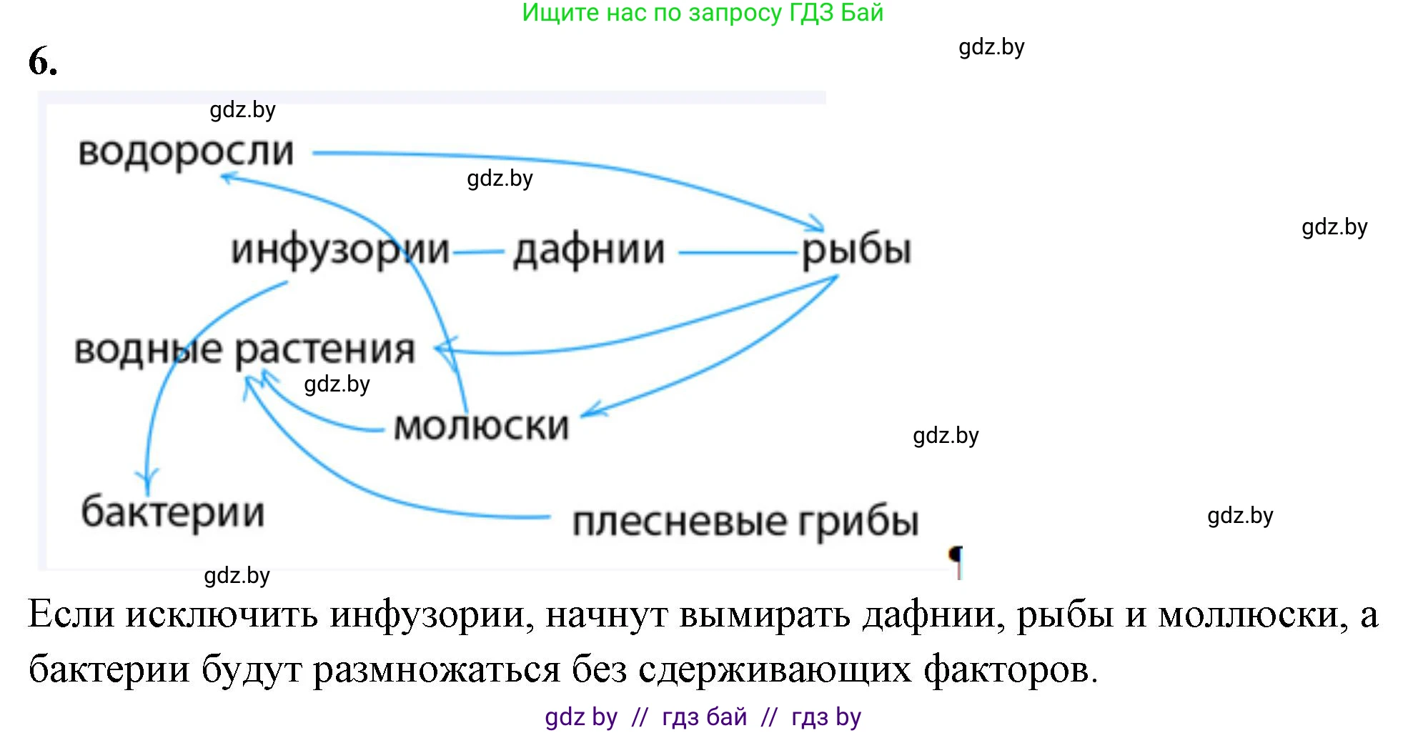 Биология, 10 класс Тетрадь для лабораторных и практических работ, автор: Хруцкая Тамара Викторовна, издательство Аверсэв, Минск, 2020, зелёного цвета, страница 84, номер 6, Решение