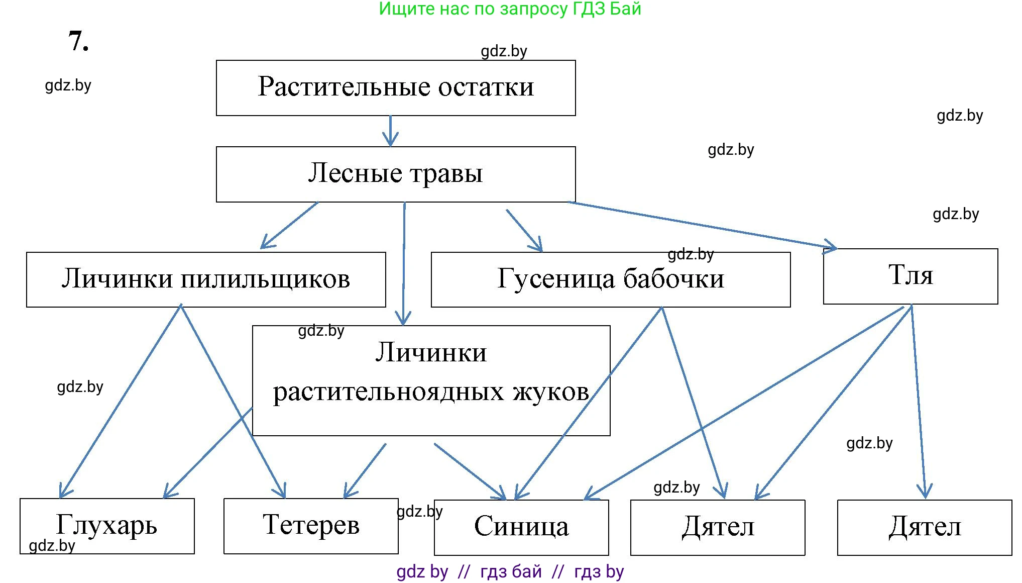 Биология, 10 класс Тетрадь для лабораторных и практических работ, автор: Хруцкая Тамара Викторовна, издательство Аверсэв, Минск, 2020, зелёного цвета, страница 85, номер 7, Решение