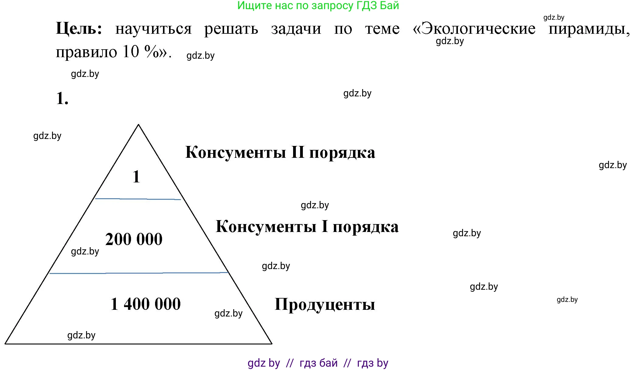 Биология, 10 класс Тетрадь для лабораторных и практических работ, автор: Хруцкая Тамара Викторовна, издательство Аверсэв, Минск, 2020, зелёного цвета, страница 95, номер 1, Решение