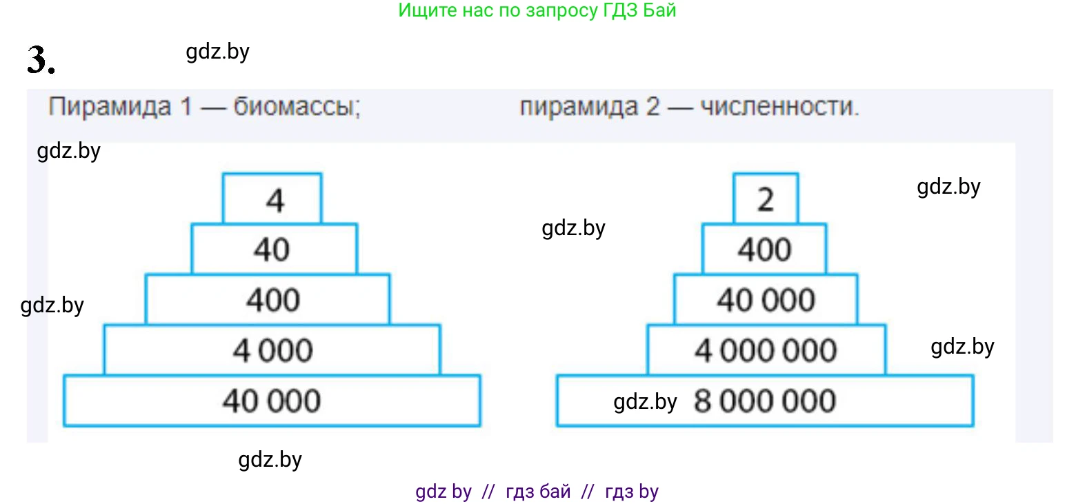 Биология, 10 класс Тетрадь для лабораторных и практических работ, автор: Хруцкая Тамара Викторовна, издательство Аверсэв, Минск, 2020, зелёного цвета, страница 96, номер 3, Решение