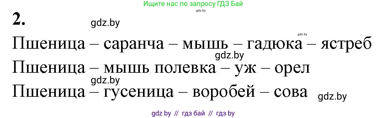 Биология, 10 класс Тетрадь для лабораторных и практических работ, автор: Хруцкая Тамара Викторовна, издательство Аверсэв, Минск, 2020, зелёного цвета, страница 114, номер 2, Решение