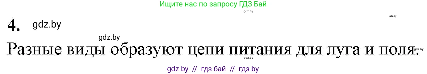Биология, 10 класс Тетрадь для лабораторных и практических работ, автор: Хруцкая Тамара Викторовна, издательство Аверсэв, Минск, 2020, зелёного цвета, страница 114, номер 4, Решение
