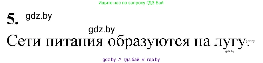 Биология, 10 класс Тетрадь для лабораторных и практических работ, автор: Хруцкая Тамара Викторовна, издательство Аверсэв, Минск, 2020, зелёного цвета, страница 115, номер 5, Решение