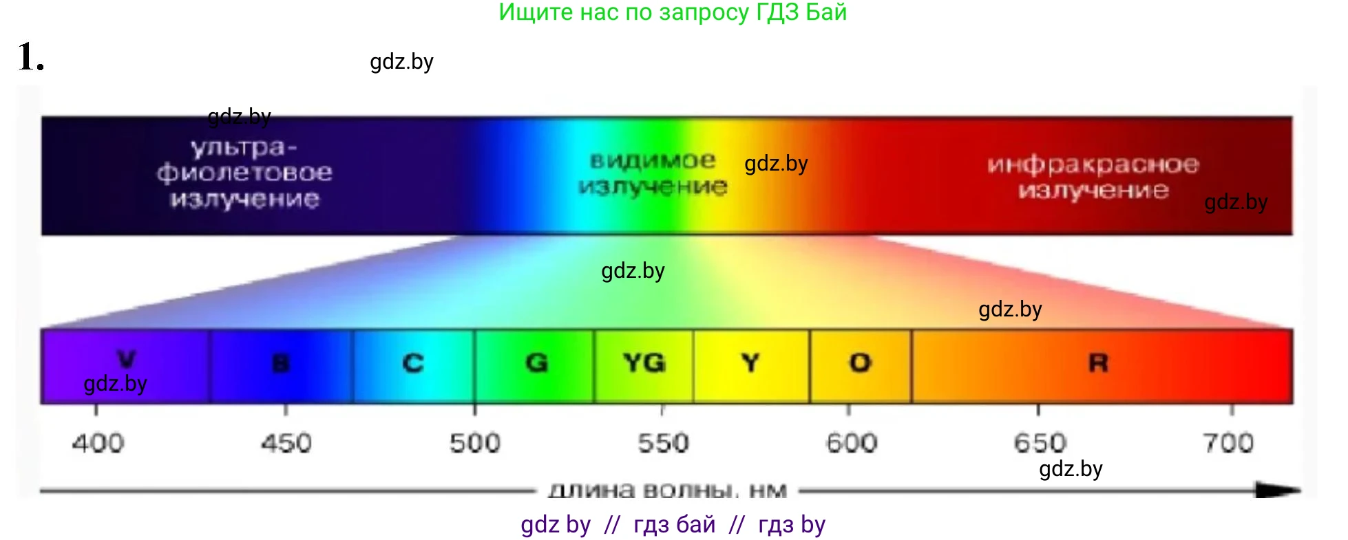 Биология, 10 класс рабочая тетрадь, автор: Хруцкая Тамара Викторовна, издательство Аверсэв, Минск, 2020, оранжевого цвета, страница 12, номер 1, Решение