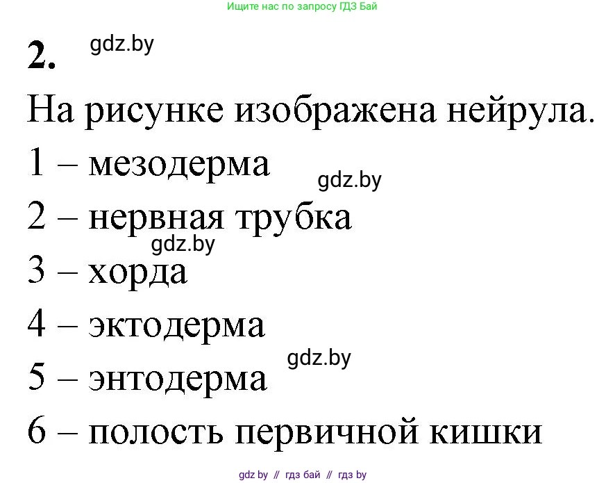 Биология, 10 класс рабочая тетрадь, автор: Хруцкая Тамара Викторовна, издательство Аверсэв, Минск, 2020, оранжевого цвета, страница 62, номер 2, Решение