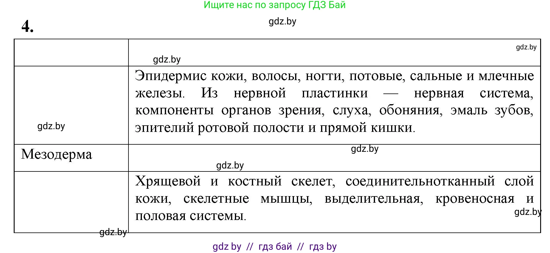 Биология, 10 класс рабочая тетрадь, автор: Хруцкая Тамара Викторовна, издательство Аверсэв, Минск, 2020, оранжевого цвета, страница 63, номер 4, Решение