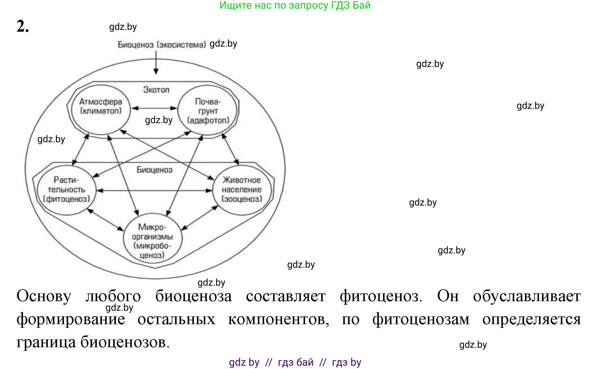 Биология, 10 класс рабочая тетрадь, автор: Хруцкая Тамара Викторовна, издательство Аверсэв, Минск, 2020, оранжевого цвета, страница 78, номер 2, Решение