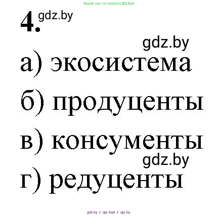 Биология, 10 класс рабочая тетрадь, автор: Хруцкая Тамара Викторовна, издательство Аверсэв, Минск, 2020, оранжевого цвета, страница 84, номер 4, Решение