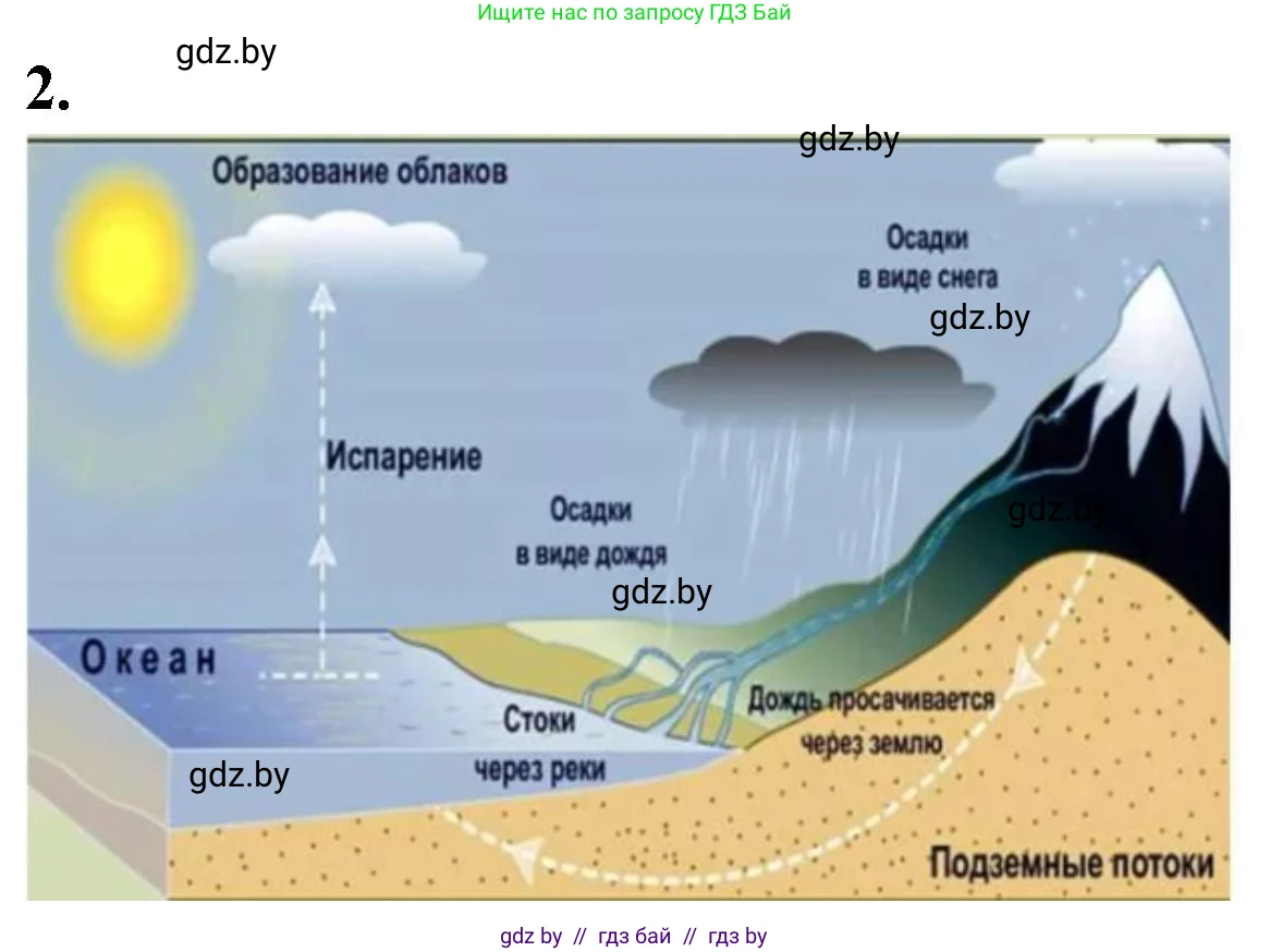 Биология, 10 класс рабочая тетрадь, автор: Хруцкая Тамара Викторовна, издательство Аверсэв, Минск, 2020, оранжевого цвета, страница 120, номер 2, Решение
