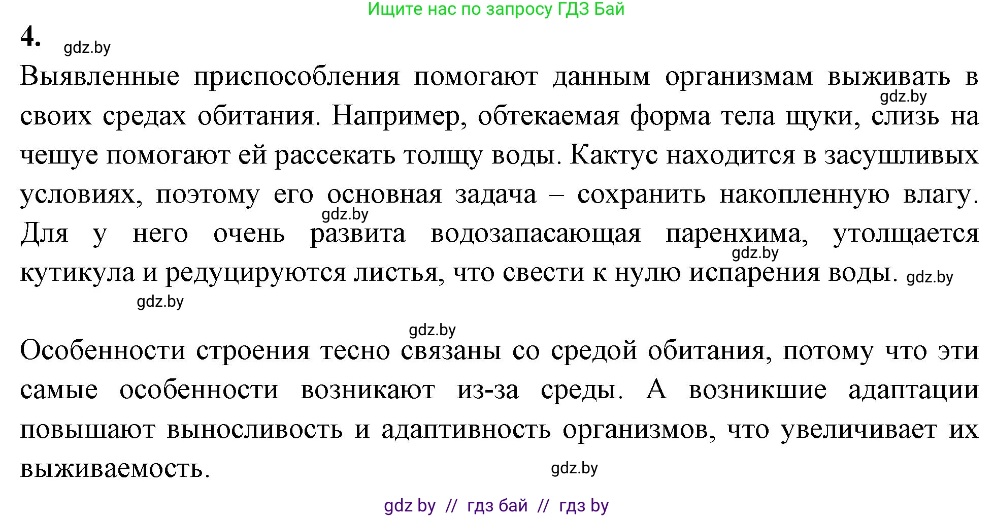 Биология, 10 класс рабочая тетрадь, автор: Хруцкая Тамара Викторовна, издательство Аверсэв, Минск, 2020, оранжевого цвета, страница 19, номер 4, Решение
