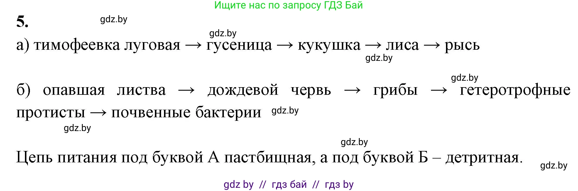 Биология, 10 класс рабочая тетрадь, автор: Хруцкая Тамара Викторовна, издательство Аверсэв, Минск, 2020, оранжевого цвета, страница 88, номер 5, Решение