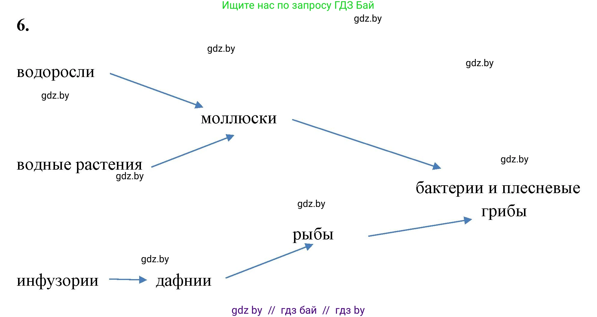 Биология, 10 класс рабочая тетрадь, автор: Хруцкая Тамара Викторовна, издательство Аверсэв, Минск, 2020, оранжевого цвета, страница 89, номер 6, Решение