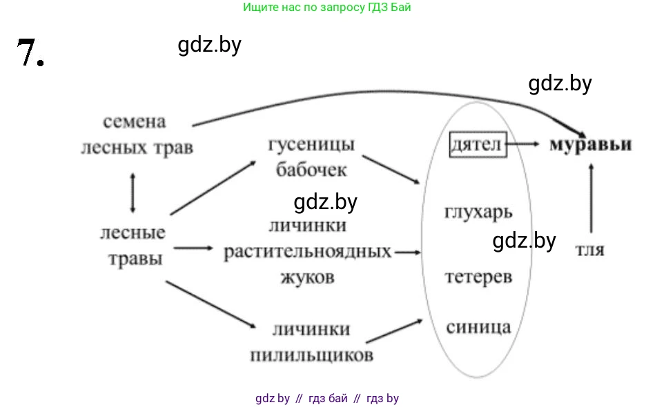 Биология, 10 класс рабочая тетрадь, автор: Хруцкая Тамара Викторовна, издательство Аверсэв, Минск, 2020, оранжевого цвета, страница 89, номер 7, Решение