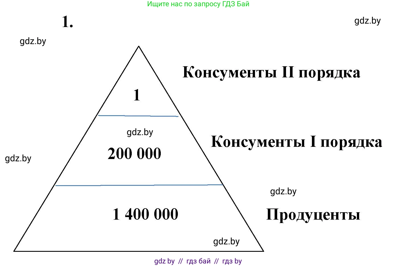 Биология, 10 класс рабочая тетрадь, автор: Хруцкая Тамара Викторовна, издательство Аверсэв, Минск, 2020, оранжевого цвета, страница 97, номер 1, Решение