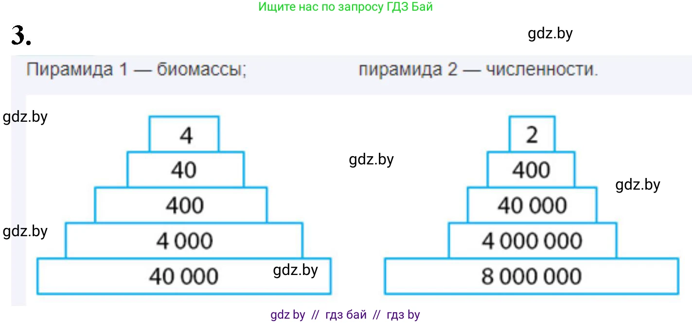 Биология, 10 класс рабочая тетрадь, автор: Хруцкая Тамара Викторовна, издательство Аверсэв, Минск, 2020, оранжевого цвета, страница 98, номер 3, Решение