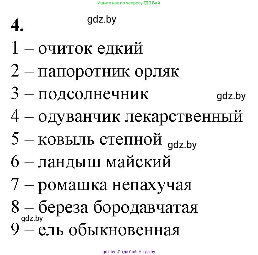 Биология, 10 класс рабочая тетрадь, авторы: Маглыш Сабина Степановна, Кравченко Вячеслав Анатольевич, издательство Аверсэв, Минск, 2021, страница 13, номер 4, Решение