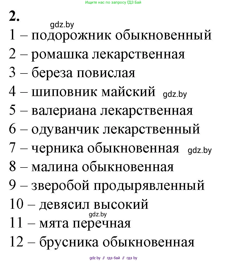 Биология, 10 класс рабочая тетрадь, авторы: Маглыш Сабина Степановна, Кравченко Вячеслав Анатольевич, издательство Аверсэв, Минск, 2021, страница 43, номер 2, Решение
