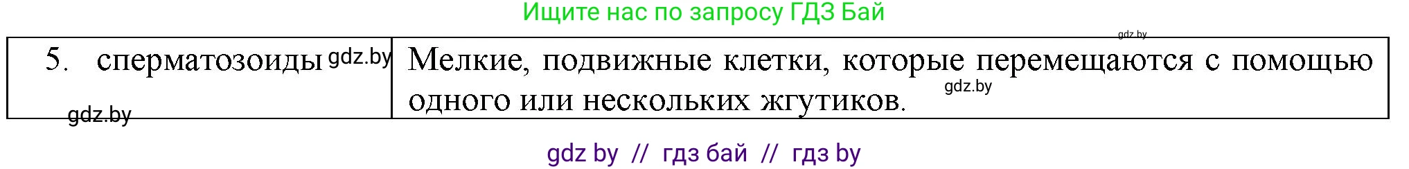 Биология, 10 класс рабочая тетрадь, авторы: Маглыш Сабина Степановна, Кравченко Вячеслав Анатольевич, издательство Аверсэв, Минск, 2021, страница 63, номер 4, Решение (продолжение 2)