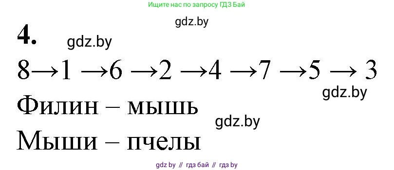 Биология, 10 класс рабочая тетрадь, авторы: Маглыш Сабина Степановна, Кравченко Вячеслав Анатольевич, издательство Аверсэв, Минск, 2021, страница 77, номер 4, Решение