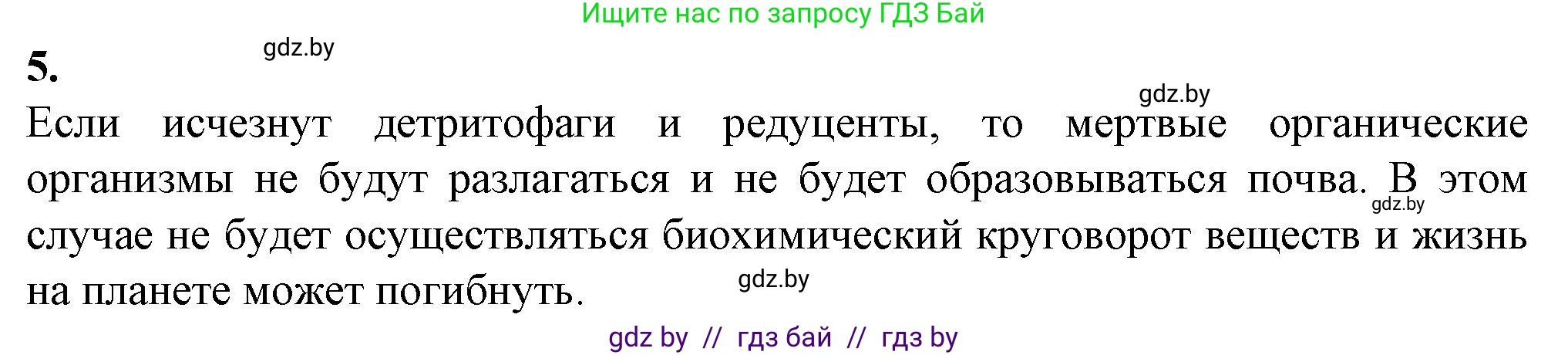 Биология, 10 класс рабочая тетрадь, авторы: Маглыш Сабина Степановна, Кравченко Вячеслав Анатольевич, издательство Аверсэв, Минск, 2021, страница 90, номер 5, Решение