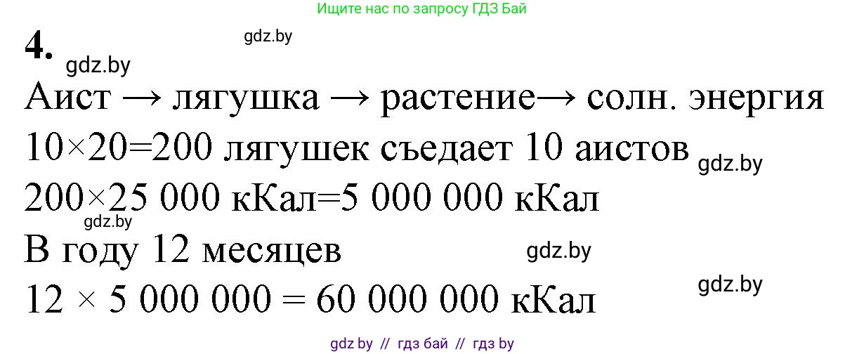 Биология, 10 класс рабочая тетрадь, авторы: Маглыш Сабина Степановна, Кравченко Вячеслав Анатольевич, издательство Аверсэв, Минск, 2021, страница 104, номер 4, Решение
