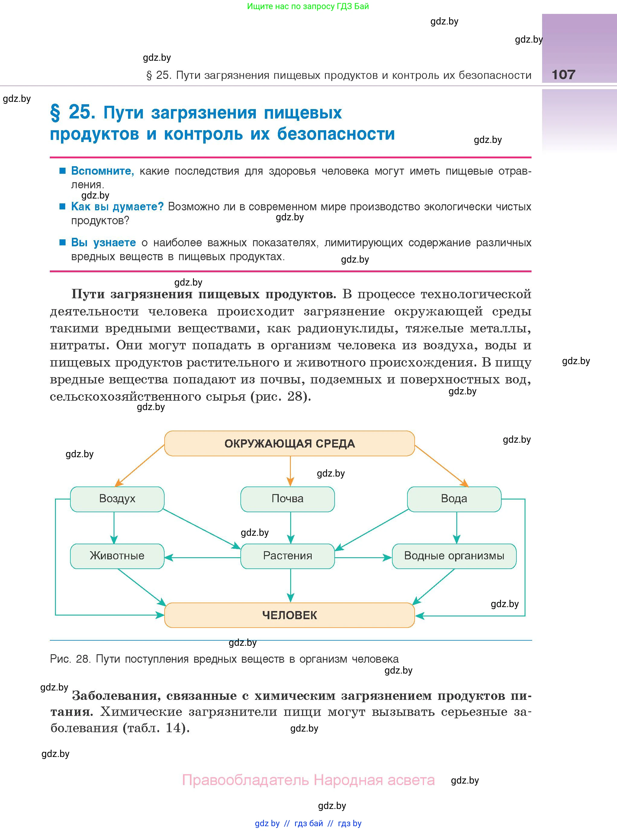 Биология, 10 класс Учебник, авторы: Маглыш Сабина Степановна, Кравченко Вячеслав Анатольевич, Довгун Татьяна Яновна, издательство Народная асвета, Минск, 2020, зелёного цвета, страница 107