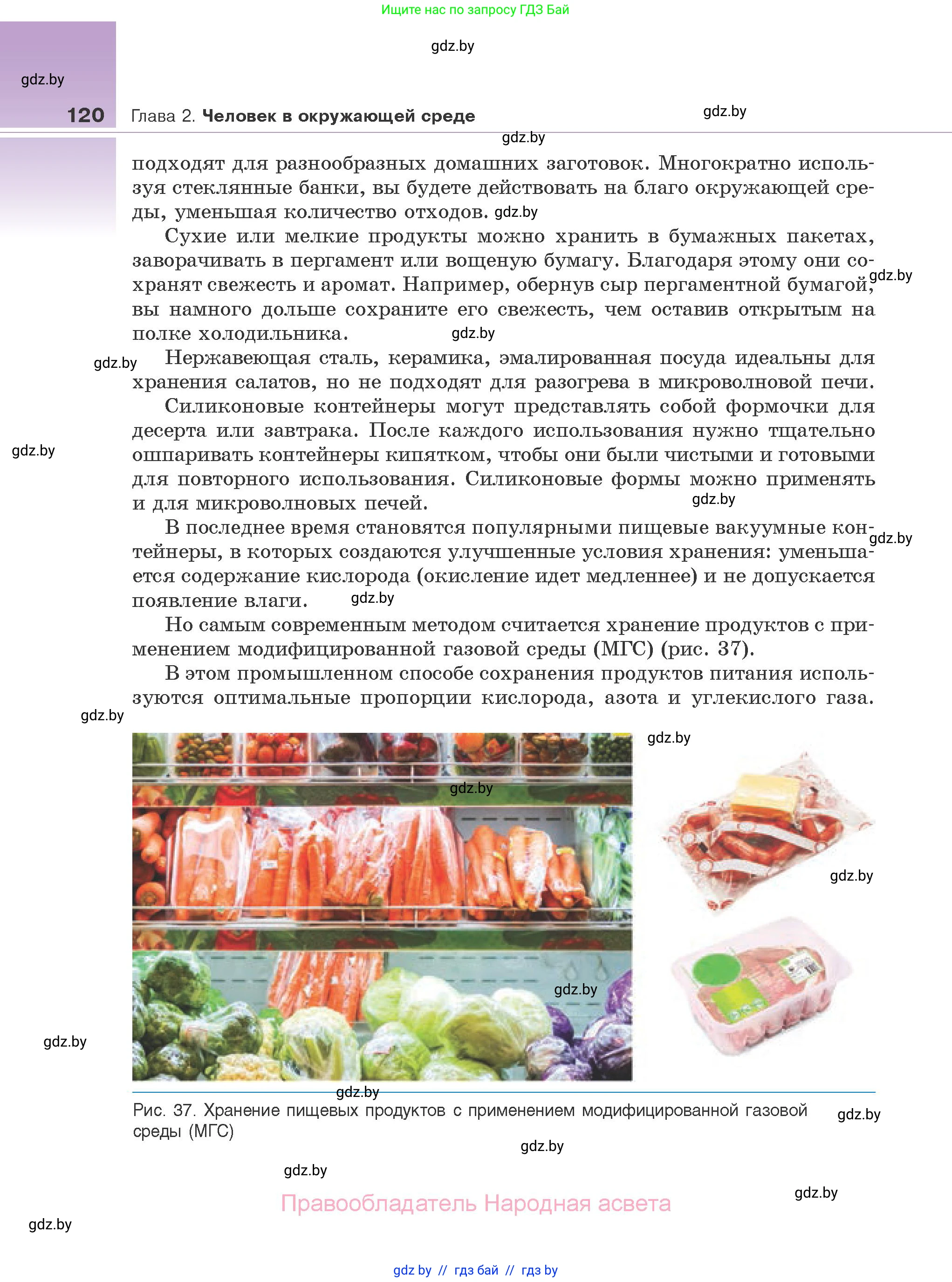 Биология, 10 класс Учебник, авторы: Маглыш Сабина Степановна, Кравченко Вячеслав Анатольевич, Довгун Татьяна Яновна, издательство Народная асвета, Минск, 2020, зелёного цвета, страница 120