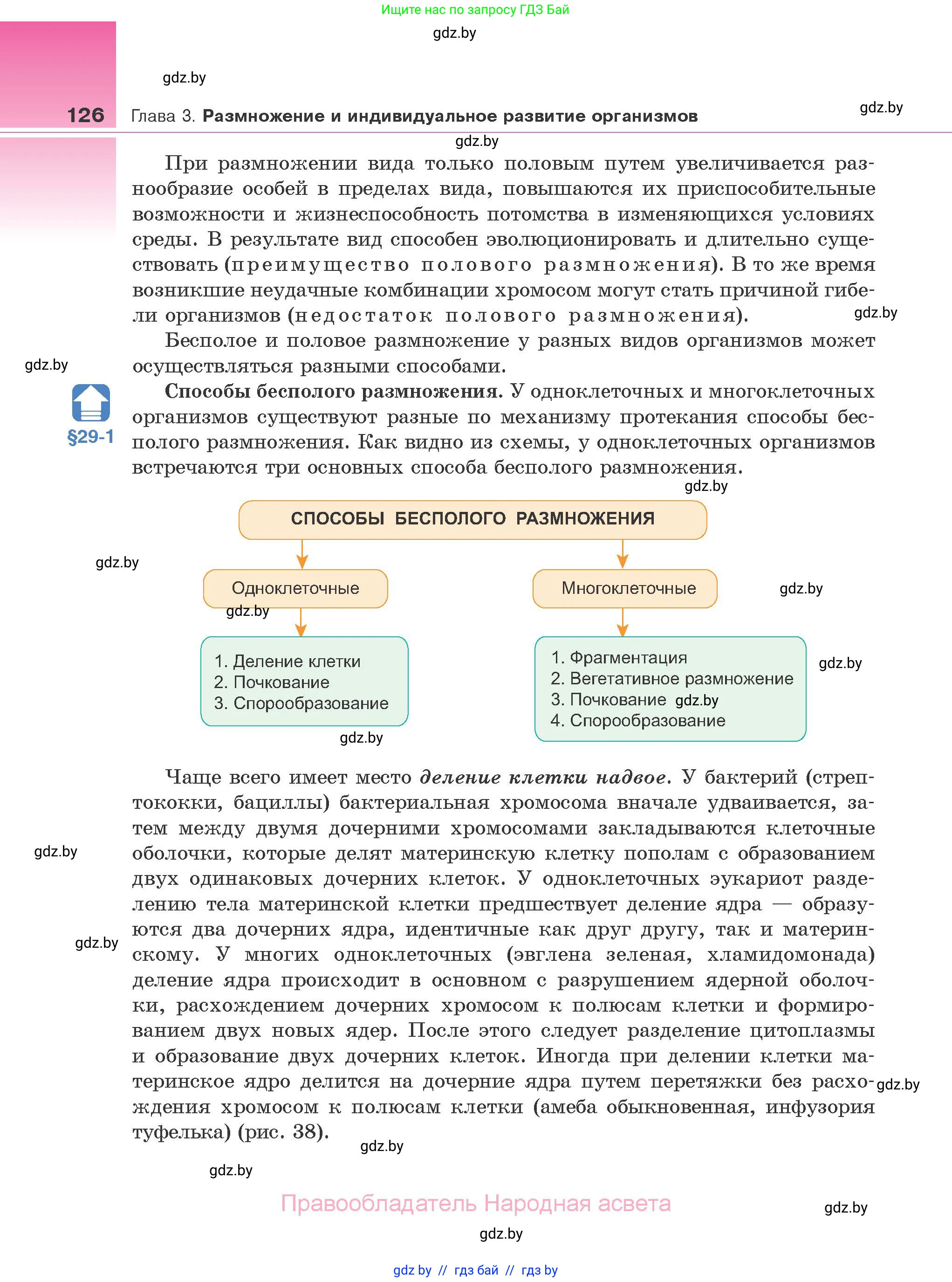 Биология, 10 класс Учебник, авторы: Маглыш Сабина Степановна, Кравченко Вячеслав Анатольевич, Довгун Татьяна Яновна, издательство Народная асвета, Минск, 2020, зелёного цвета, страница 126