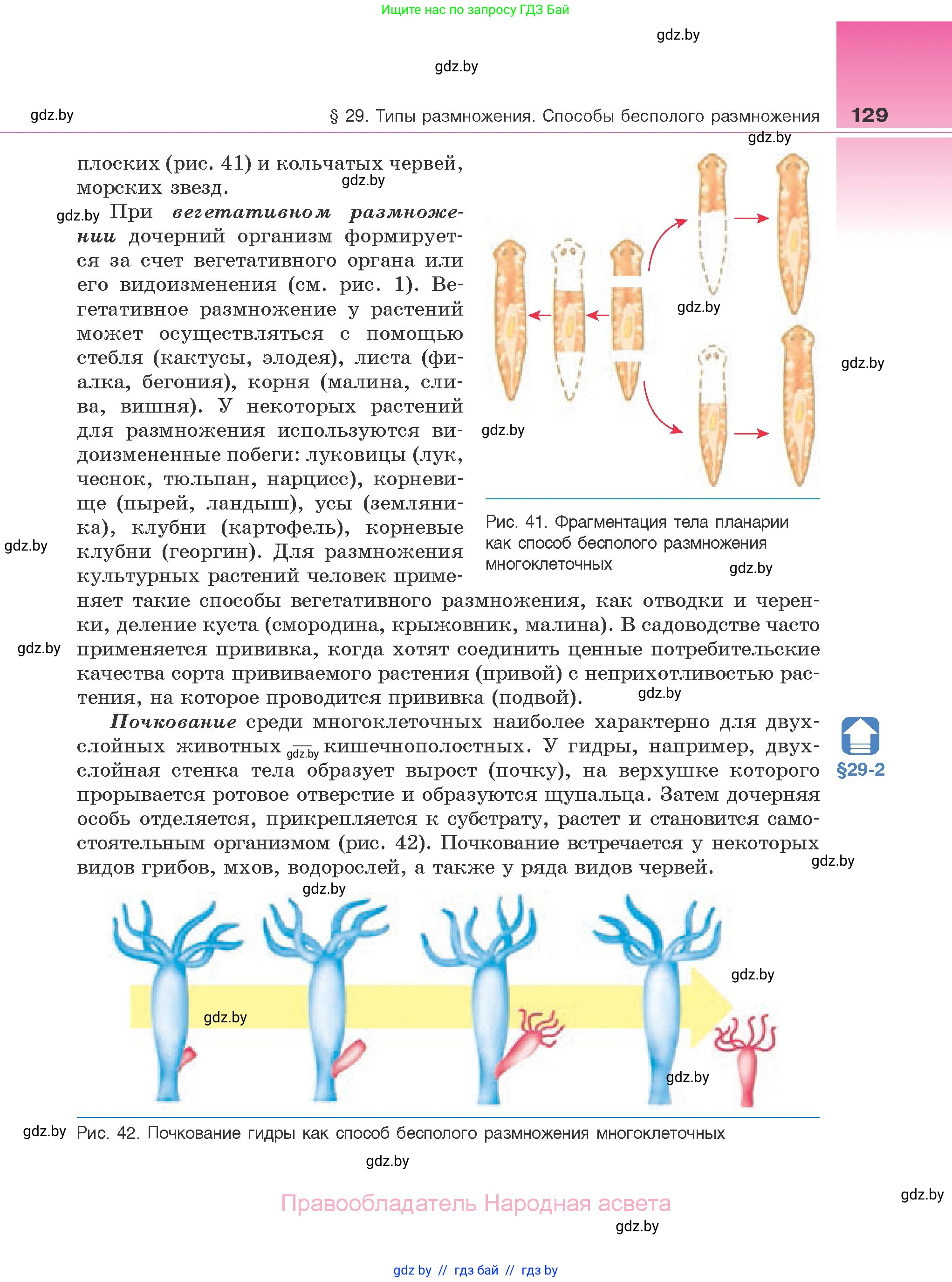 Биология, 10 класс Учебник, авторы: Маглыш Сабина Степановна, Кравченко Вячеслав Анатольевич, Довгун Татьяна Яновна, издательство Народная асвета, Минск, 2020, зелёного цвета, страница 129