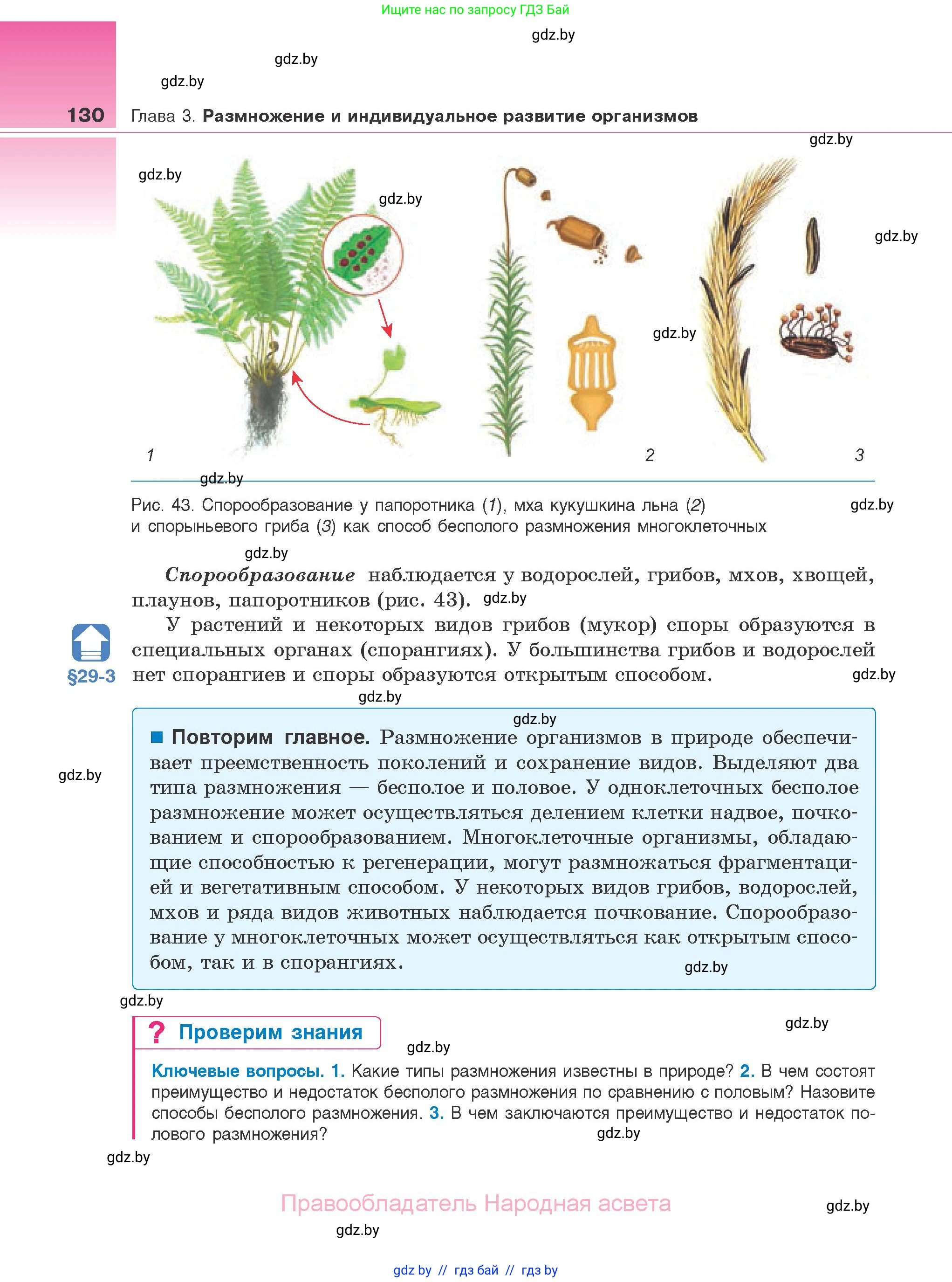 Биология, 10 класс Учебник, авторы: Маглыш Сабина Степановна, Кравченко Вячеслав Анатольевич, Довгун Татьяна Яновна, издательство Народная асвета, Минск, 2020, зелёного цвета, страница 130