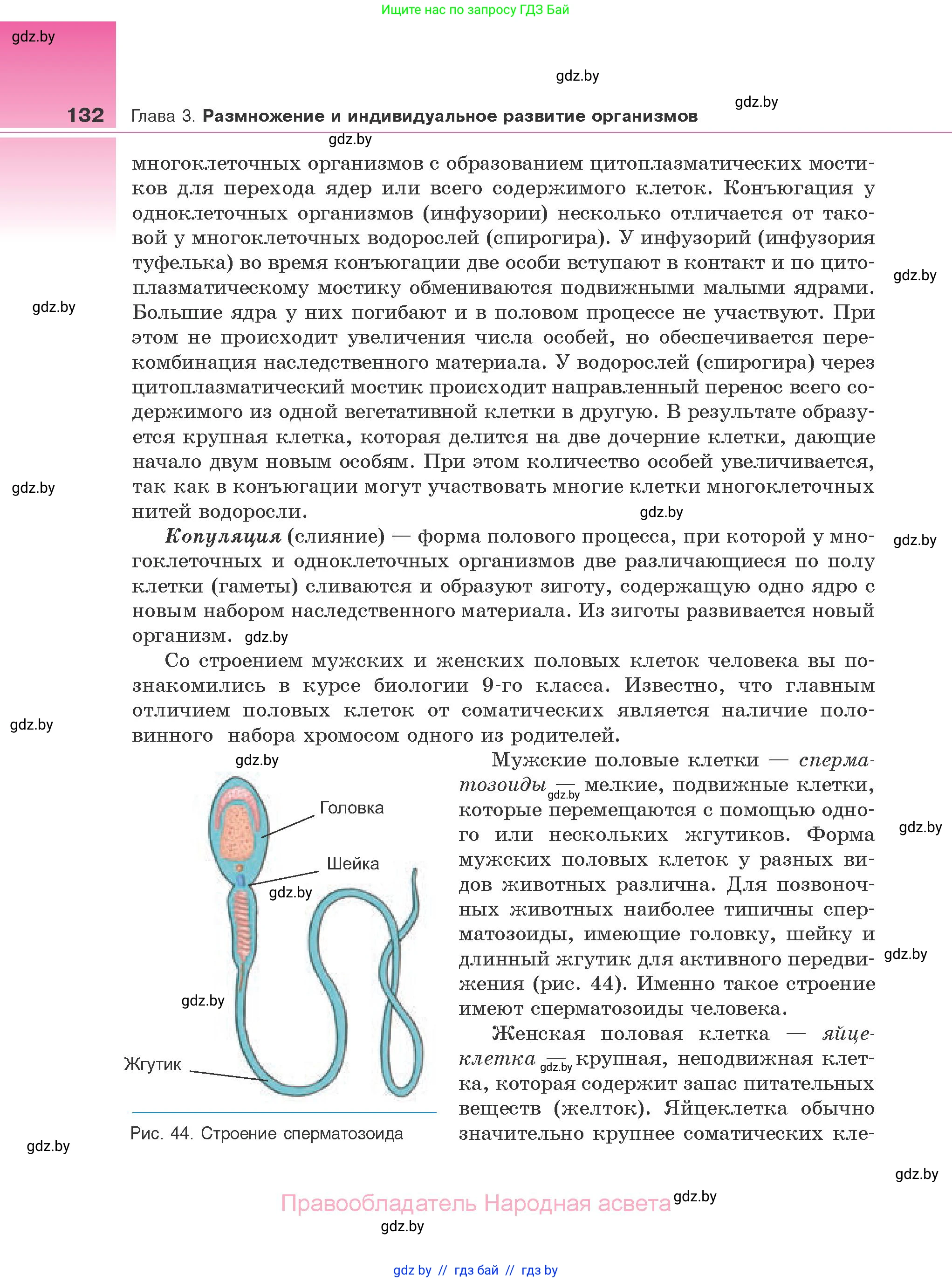 Биология, 10 класс Учебник, авторы: Маглыш Сабина Степановна, Кравченко Вячеслав Анатольевич, Довгун Татьяна Яновна, издательство Народная асвета, Минск, 2020, зелёного цвета, страница 132