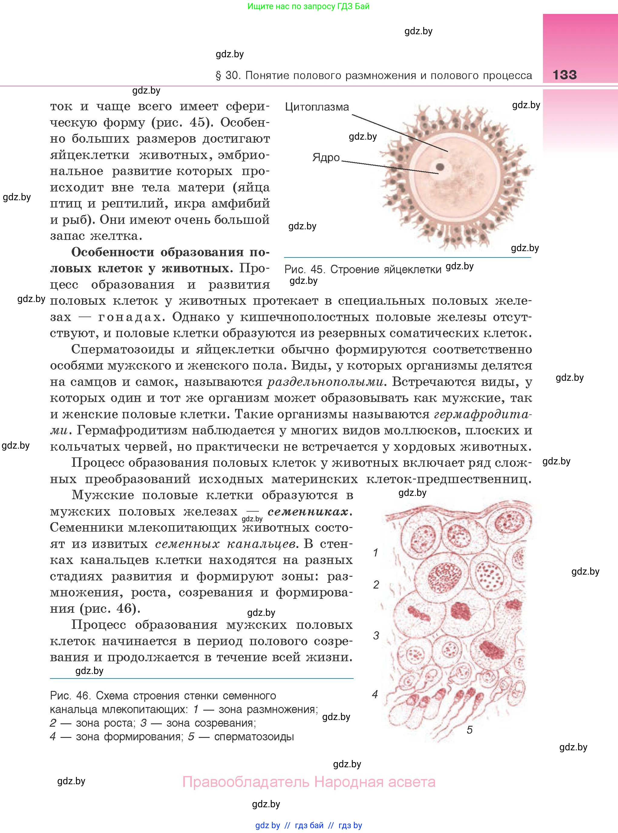 Биология, 10 класс Учебник, авторы: Маглыш Сабина Степановна, Кравченко Вячеслав Анатольевич, Довгун Татьяна Яновна, издательство Народная асвета, Минск, 2020, зелёного цвета, страница 133