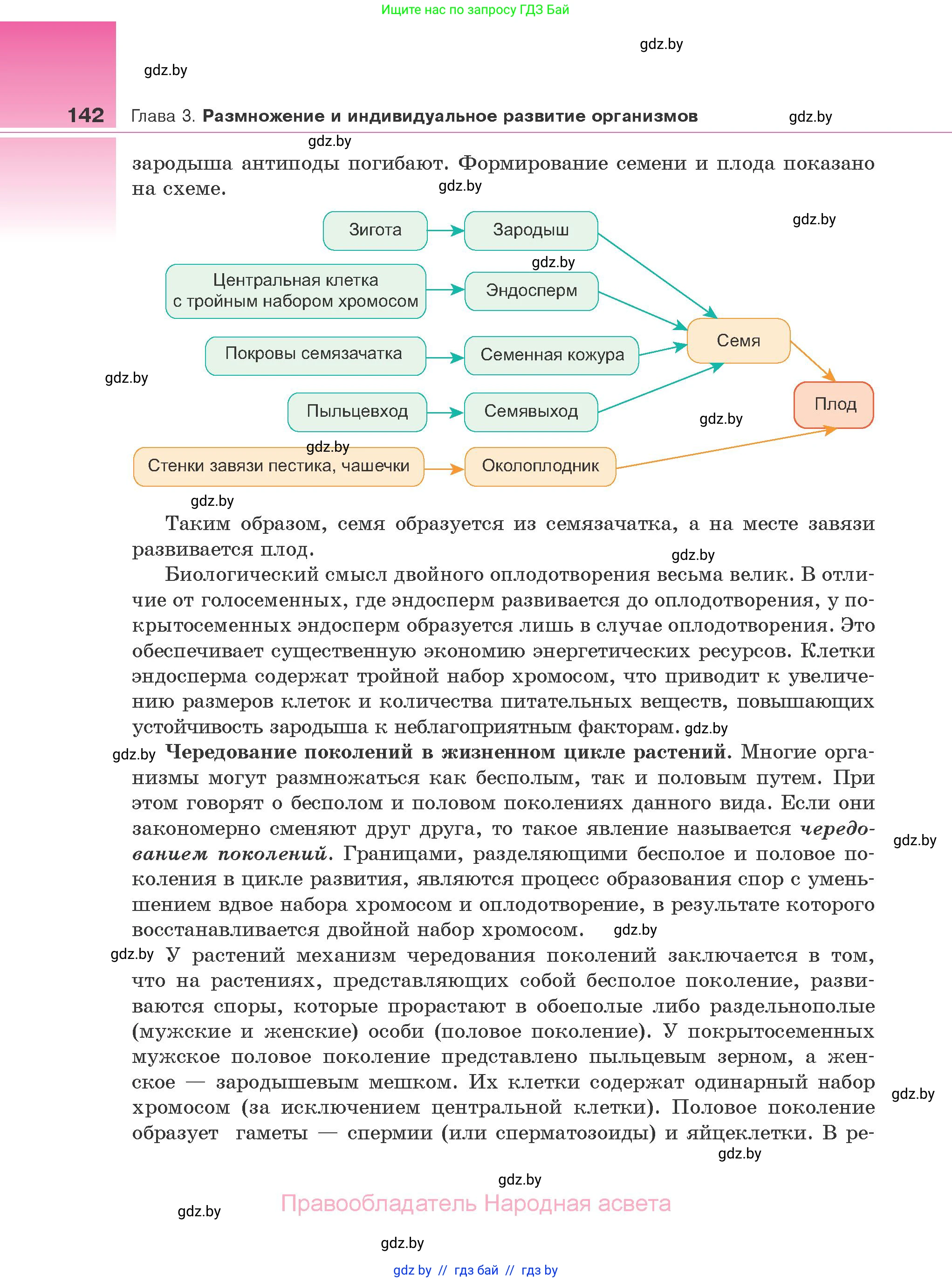 Биология, 10 класс Учебник, авторы: Маглыш Сабина Степановна, Кравченко Вячеслав Анатольевич, Довгун Татьяна Яновна, издательство Народная асвета, Минск, 2020, зелёного цвета, страница 142
