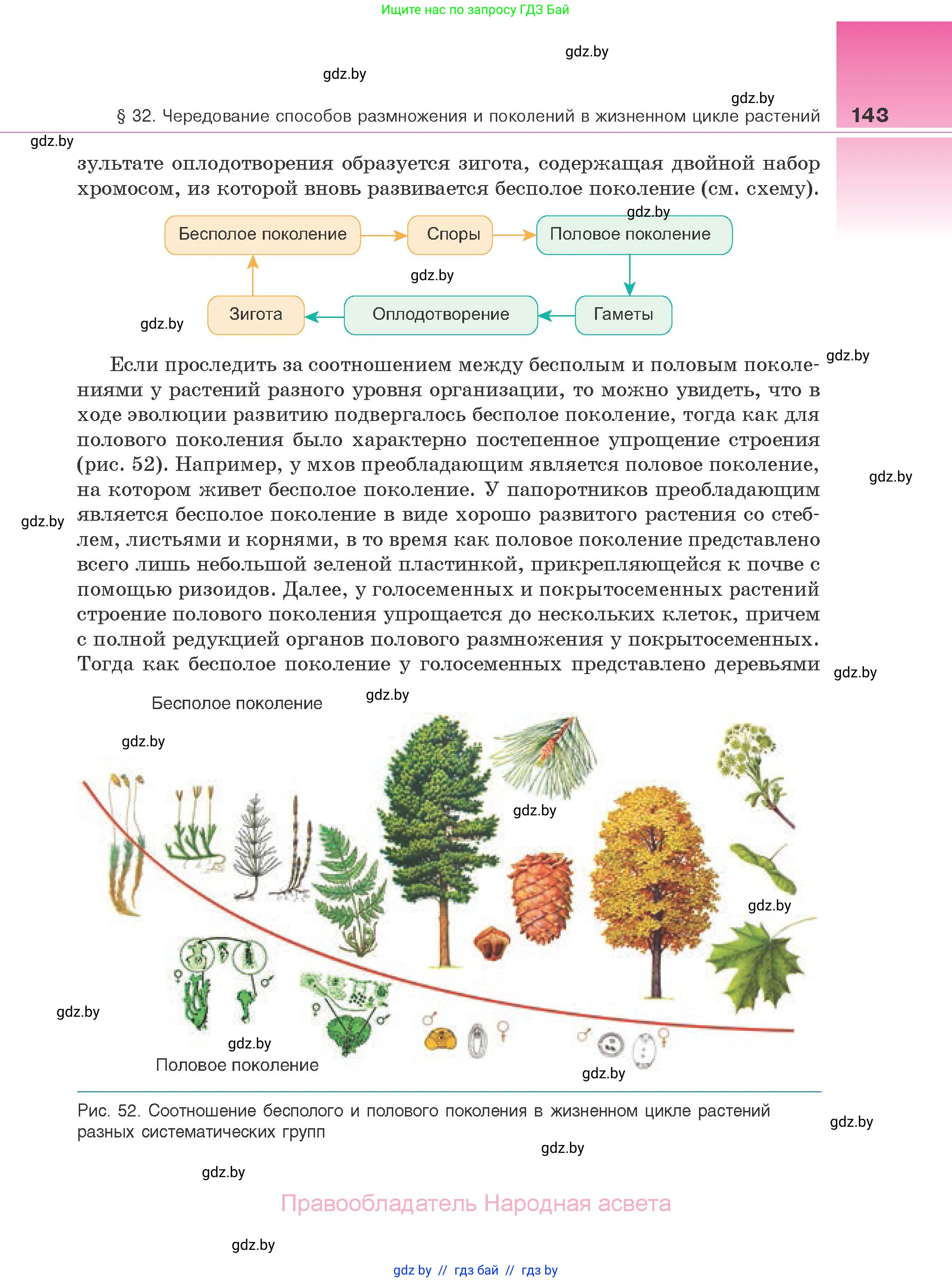Биология, 10 класс Учебник, авторы: Маглыш Сабина Степановна, Кравченко Вячеслав Анатольевич, Довгун Татьяна Яновна, издательство Народная асвета, Минск, 2020, зелёного цвета, страница 143