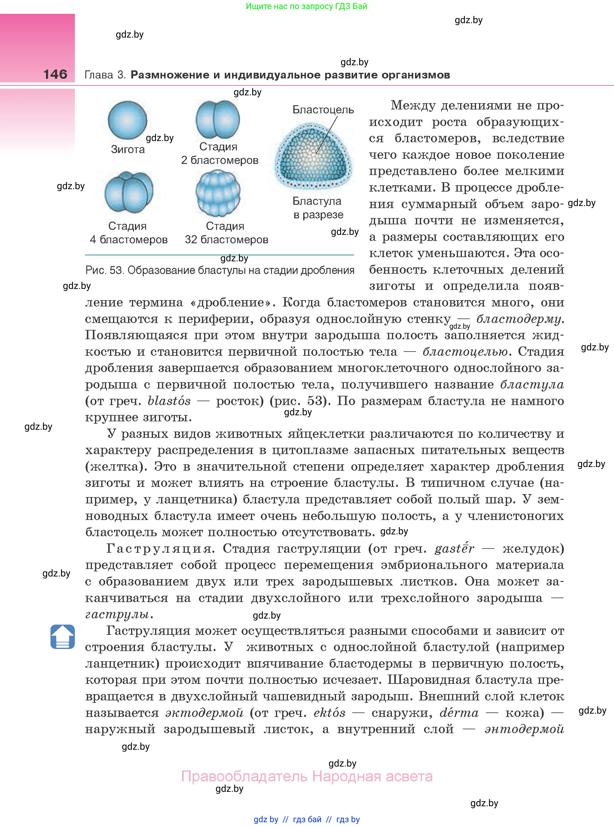 Биология, 10 класс Учебник, авторы: Маглыш Сабина Степановна, Кравченко Вячеслав Анатольевич, Довгун Татьяна Яновна, издательство Народная асвета, Минск, 2020, зелёного цвета, страница 146