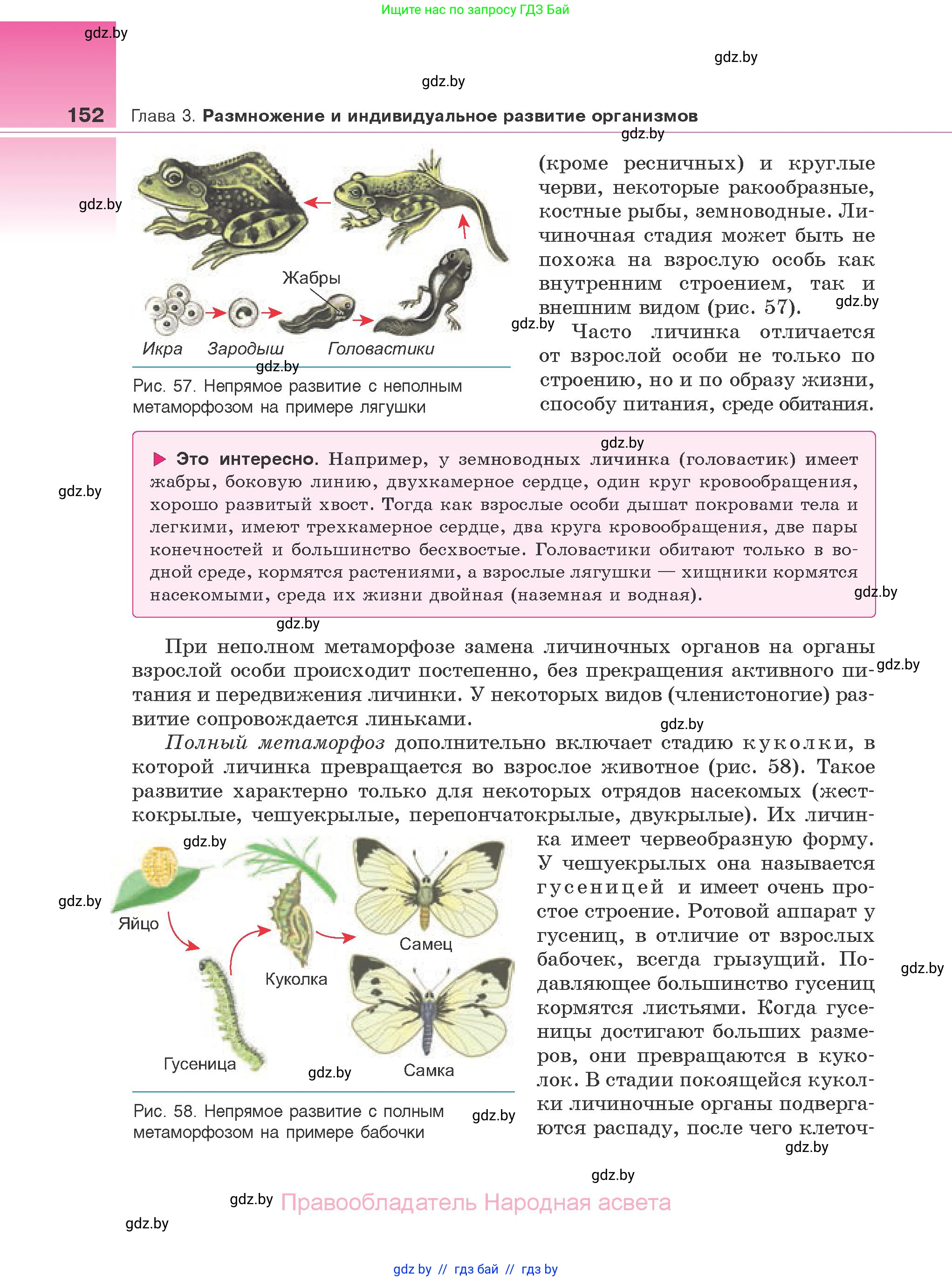Биология, 10 класс Учебник, авторы: Маглыш Сабина Степановна, Кравченко Вячеслав Анатольевич, Довгун Татьяна Яновна, издательство Народная асвета, Минск, 2020, зелёного цвета, страница 152